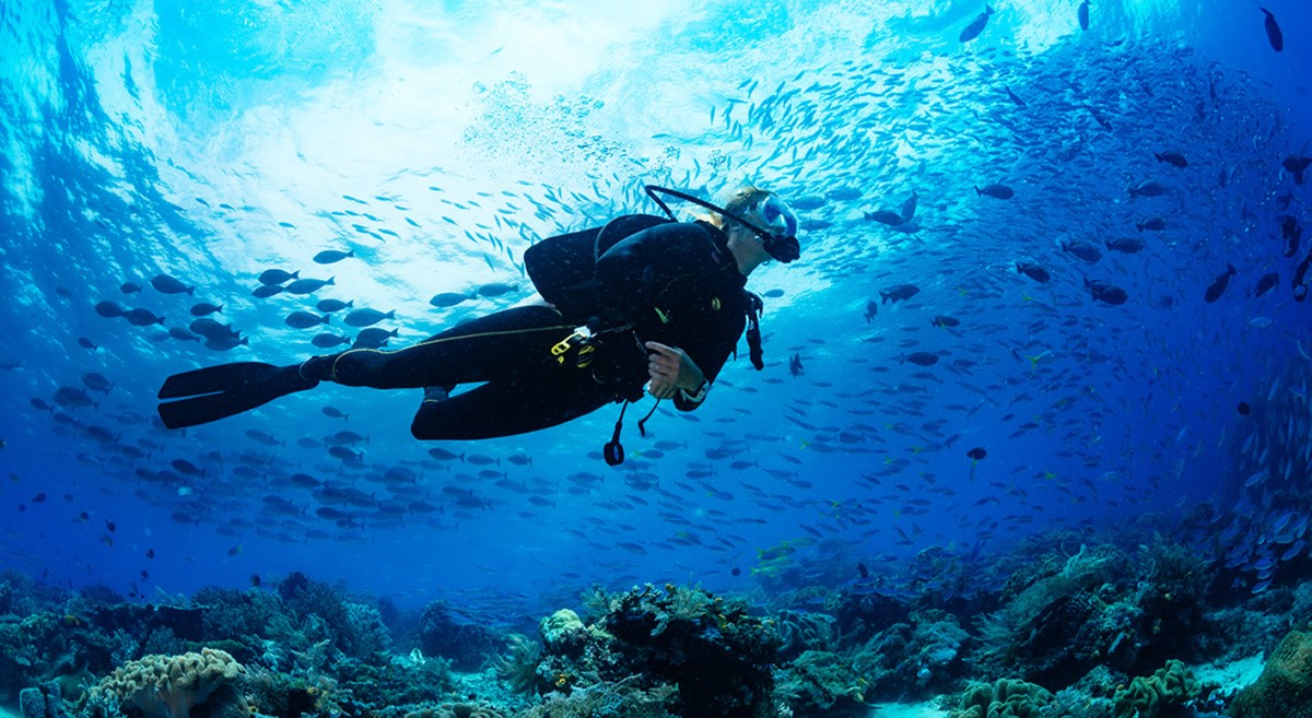 London Diving Event 2023