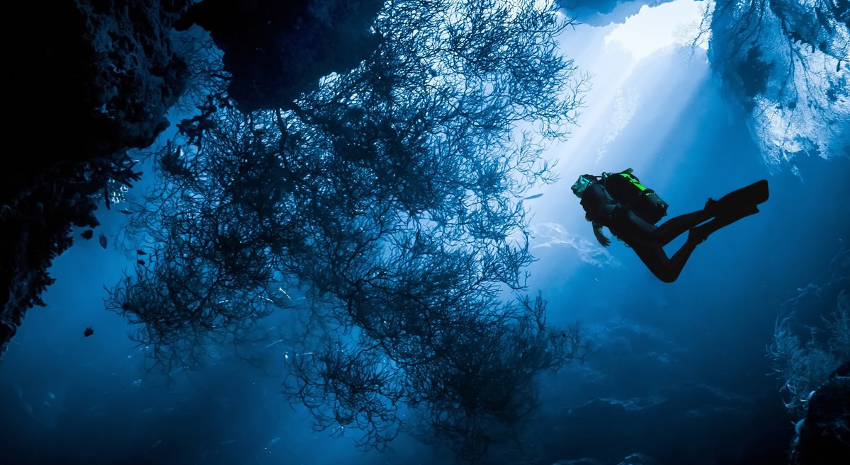 Amsterdam Diving Event 2023