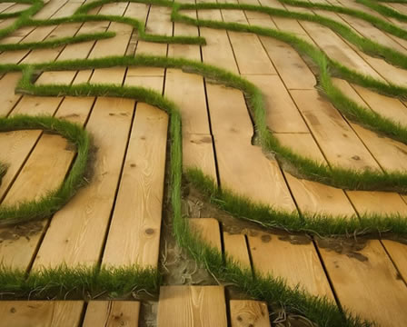 Eco-Friendly Floors